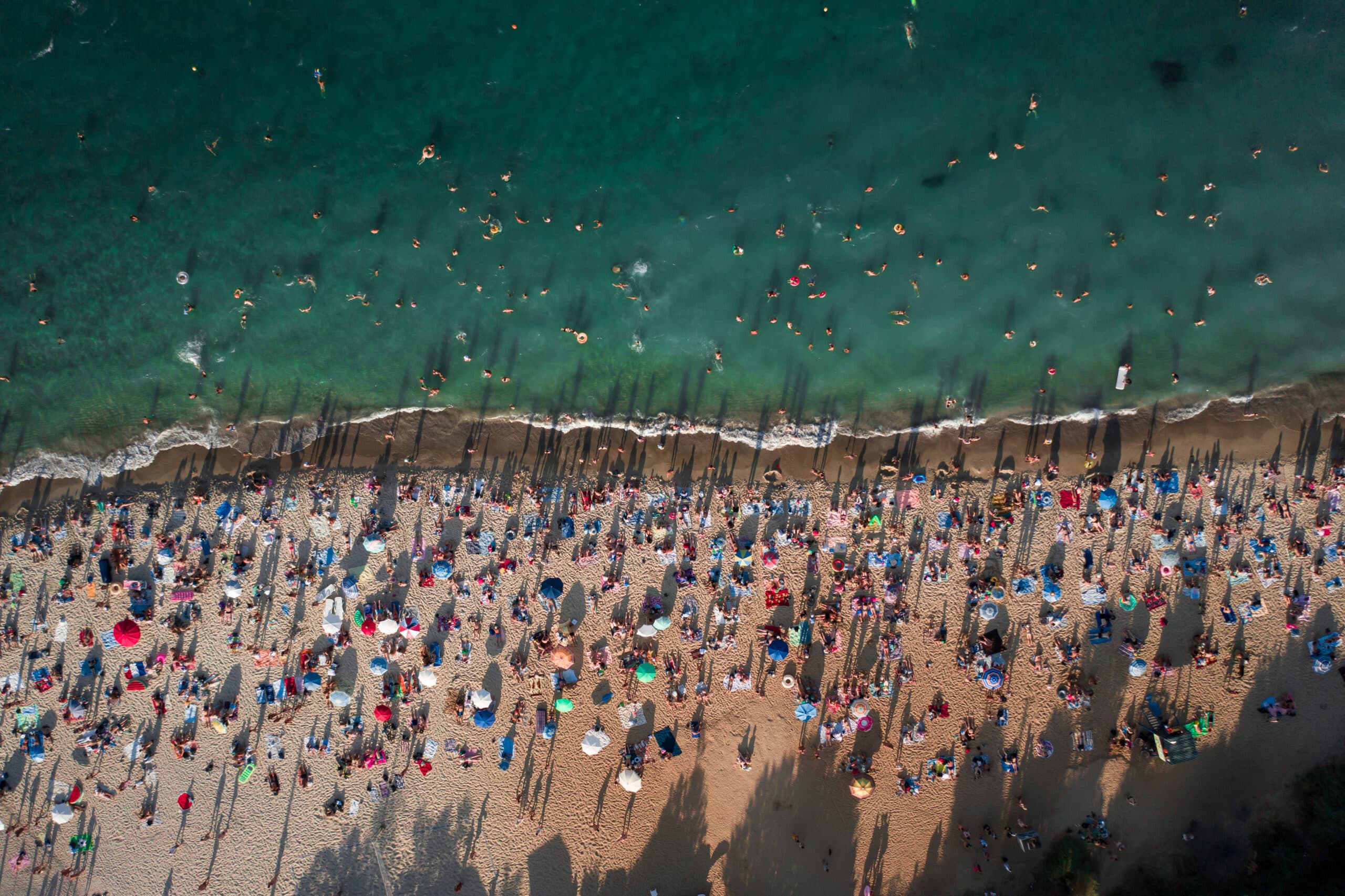 people at a beach