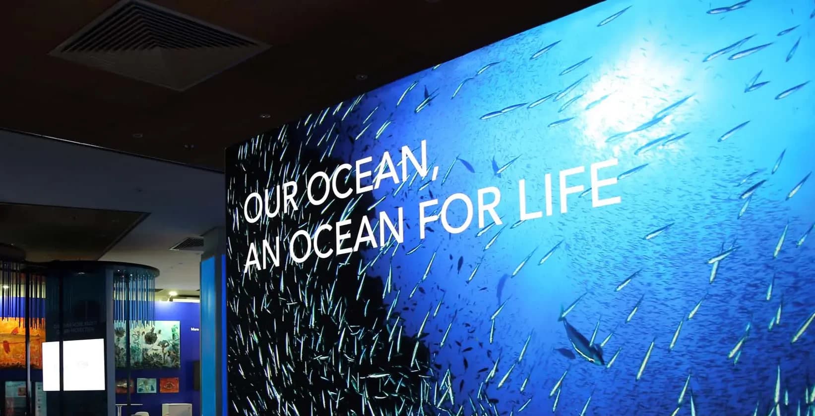Valletta, EU (Malta): 2017 – Our Ocean, an Ocean for Life